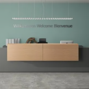 Reception Desk Rpt-02